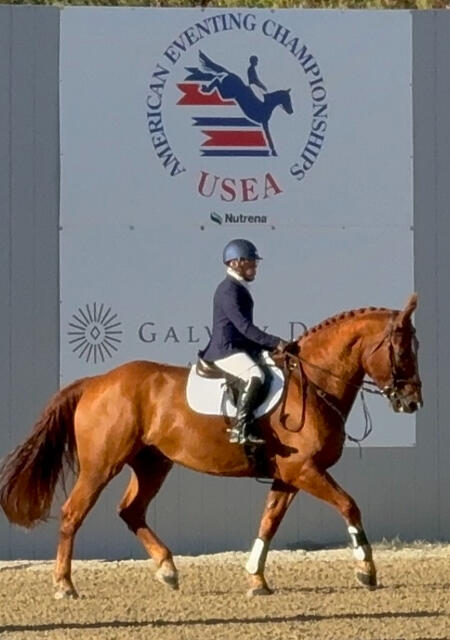 Kleary's Ready Teddy